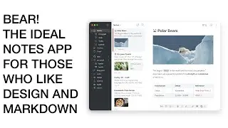 Bear - The Ideal Notes App for those who like Design and Markdown