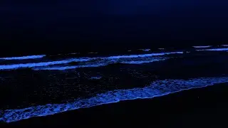 Deep Sleep Instantly Within 5 Minutes - Insomnia Healing, Stress Relief with Ocean Sounds at Night