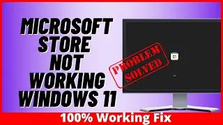 Microsoft Store Not Working Windows 11