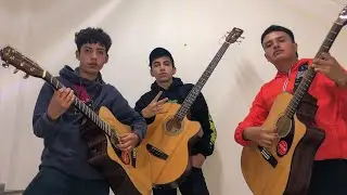 Lolo Félix / Arsenal Efectivo  (Cover)- NL