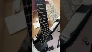 New Guitar Day! Harley Benton EX-76 Unboxing