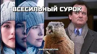 В чём сила Сурка: Эффект дня сурка в историях