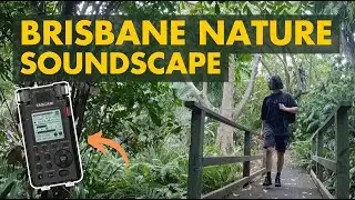 TASCAM Field Recording - Australian Forests & Bushland