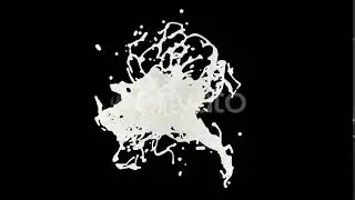 Milk Splash | Motion Graphics - Videohive template