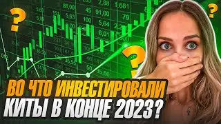 🟢 КУДА ИНВЕСТИРОВАЛИ КИТЫ в КОНЦЕ 2023? АНАЛИЗ АКТИВОВ КИТОВ | Как Инвестировать Деньги | Инвестиции