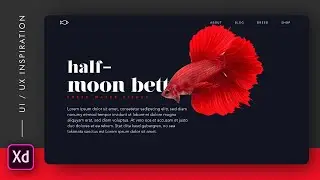 Fish Landing page UI animation with Smooth interaction using 