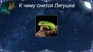 К чему снится Лягушка (Сонник)