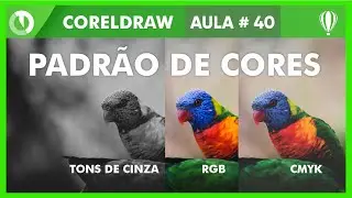 Como converter cores CMYK, RGB, TONS DE CINZA no Corel Draw