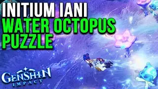 Initium Iani Washer Octopus Puzzle Genshin Impact