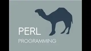 Perl Programming Android App