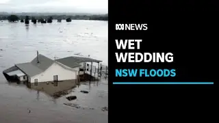 Devastated couples home floats away on their wedding day in NSW floods | ABC News