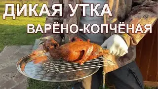 Рецепт для дикой утки. Мясо получается не сухим и ароматным. Варено-копченые птицы делаем на даче.