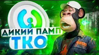 TKO-УБИЙЦА BNB🤑 ОЖИДАЕТСЯ ДИКИЙ ПАМП НА СОТНИ ИКСОВ⎮TORNADO CASH⎮НОВОСТИ КРИПТОВАЛЮТ