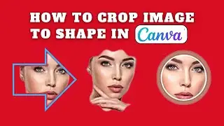 How To Crop Image To Shape In Canva 