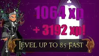 AQW 4000 XP Per Kill | Level 90 Fast !