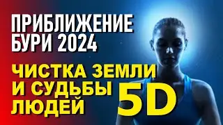 Чистка земли 5D - Приближение бури 2024