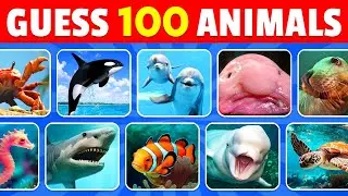 Guess 100 Sea Animals in 3 Seconds 🐬🦑 | Easy, Medium, Hard, Impossible