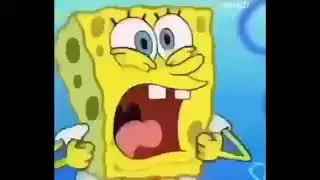 sponge