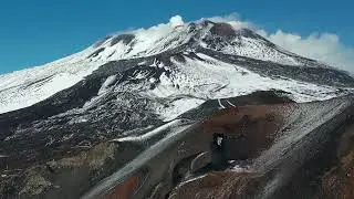 Che cos'è la biodiversità? | documentario breve