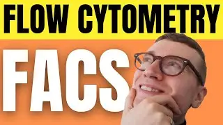 Flow Cytometry FACS Explained For Beginners