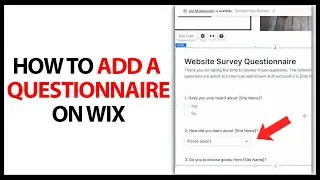 How to Add a Questionnaire on Wix in 2024