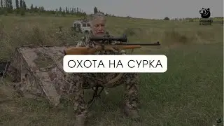 Охота на сурка // В одиночку на зверя