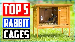 Top 5 Best Rabbit Cages in 2021 – Buyer’s guide