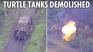 Putins ‘turtle tanks’ are wiped out by Ukraine as Russia fails to hit back after invasion