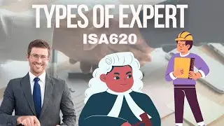 Expert and Types of Expert as per ISA620 | Urdu/Hindi !