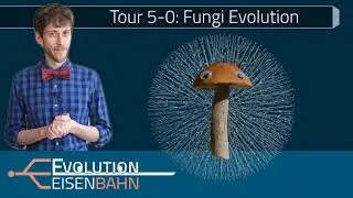 Tour 5-0: Fungi – Evolution and Mysteries