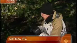 Florida Oranges Almost Frozen