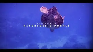Must Volkoff ft. Sonnyjim - PSYCHEDELIC PURPLE (Official Video)