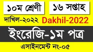 Dakhil 2022 16th week English 1st Paper Assignment | Dakhil 2022 English Assignment 16th week