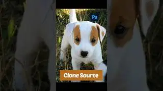 How to Clone in Photoshop #youtubeshorts #shorts #photoshop #Clone source