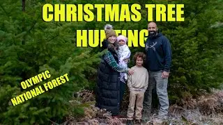 Cutting Down Our Own Christmas Tree in Olympic National Forest | RV Family Life