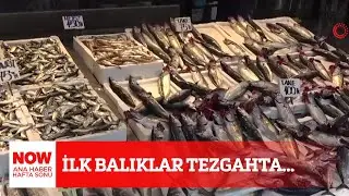 İlk balıklar tezgahta... 1 Eylül NOW Ana Haber Hafta Sonu