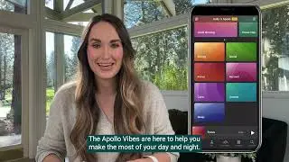 Meet the Vibes | Getting Started with Apollo