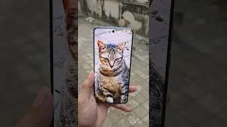 Vivo X200 Pro Camera Test 🔥