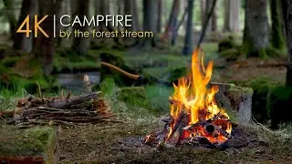 Forest Campfire by the Small Stream 🌲Relaxing Sounds & Sleep