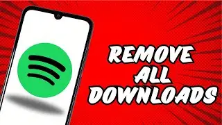 How to remove all downloads on Spotify