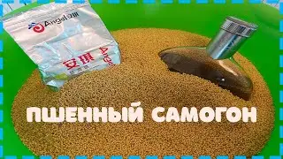 ПШЕНО+КОДЗИ. ИДЕАЛЬНЫЙ ВАРИАНТ ПО ВЫХОДУ!!!