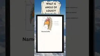 Angle of Louis #anatomy #health #anatomyvideos #cracktheexam #education #medical #medicalstudent