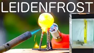 Do hot objects fall through water faster? Leidenfrost Effect!