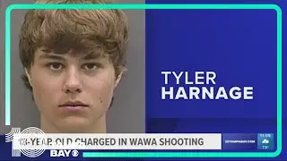 Teen accused of murder in connection to Riverview Wawa shooting