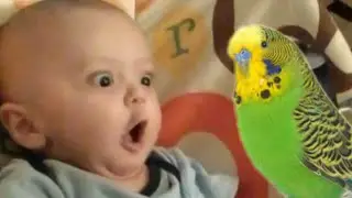 30 Funniest Cute Baby Compilation 😂😂😂 Fun and Fails Baby Video