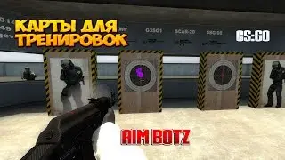aim botz cs go