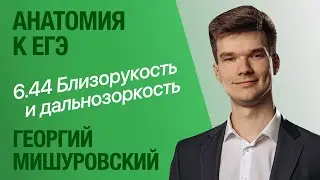 6.44. Близорукость и дальнозоркость | Анатомия к ЕГЭ | Георгий Мишуровский