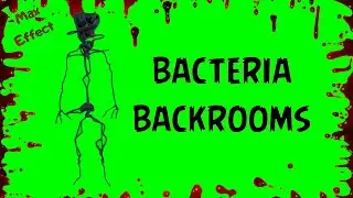 футаж backrooms на зеленом фоне / backrooms footage on green screen