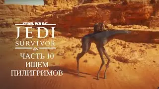 Star Wars Jedi Survivor Ищем Пилигримов и компас к Теланорр Часть 1