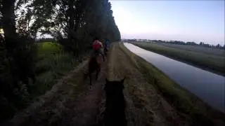 GoPro Horse - Passeggiata in campagna a Sottomarina (VE)